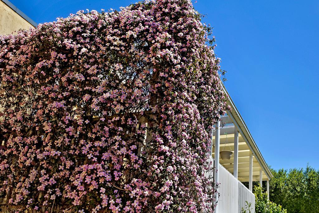 Bundanoon Lodge Екстериор снимка